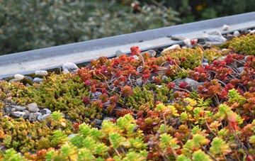 the cost of Newton Wood green roof installation