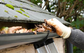 gutter cleaning Newton Wood, Greater Manchester