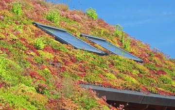 Newton Wood living roof systems